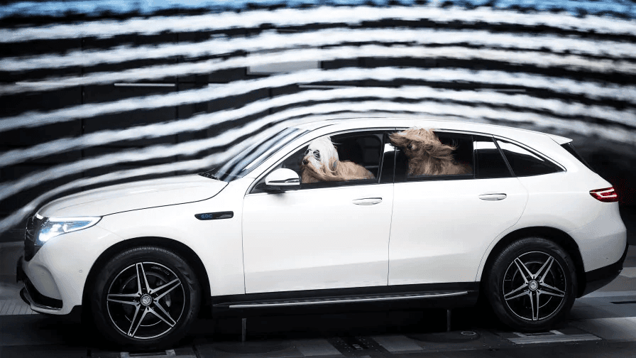 Mercedes Wind Tunnel Test with Dogs - Image credit: MERCEDES BENZ